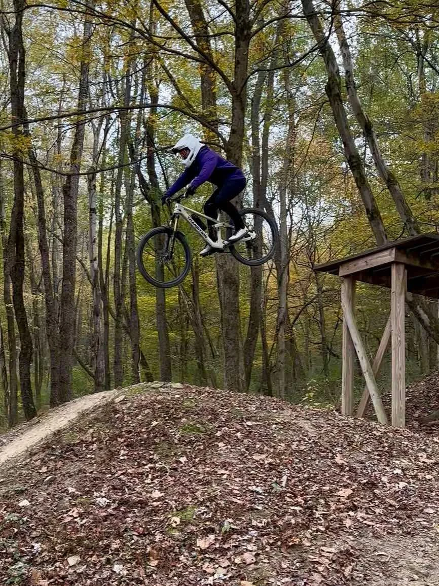 A rider in purple clearing a woodland jump